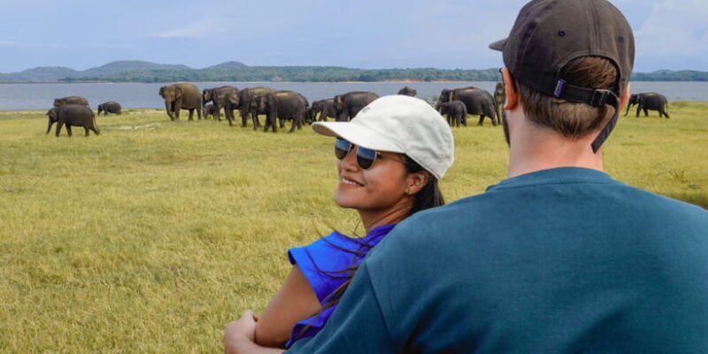 minneriya-national-park-half-day-sri-lanka-jeep-safari