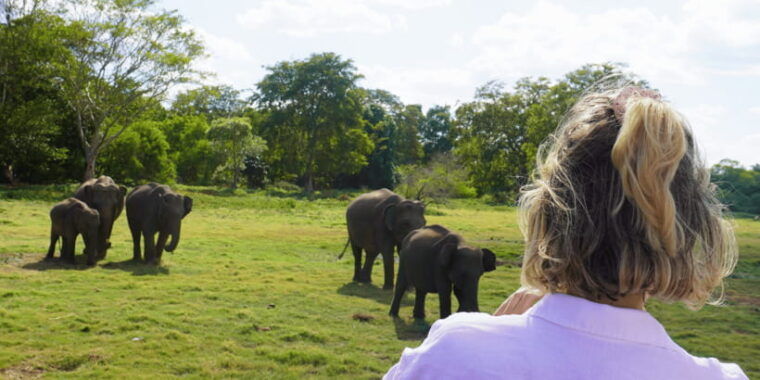 minneriya-national-park-half-day-sri-lanka-jeep-safari