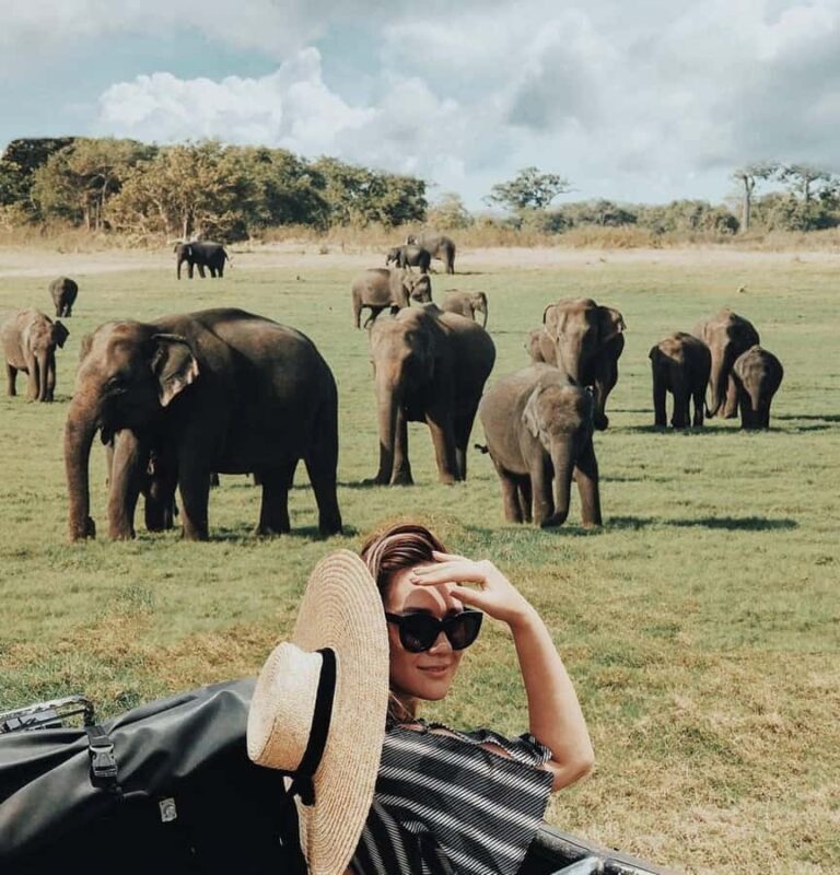 Minneriya National Park: Private Luxury Elephant Safari - Minneriya National Park: Private Luxury Elephant Safari – An In-Depth Review