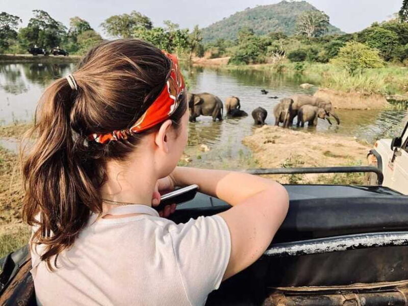 Minneriya National Park Private Luxury Elephant Safari - Authentic Reviews & Insights