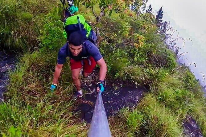 Minneriya National Park Safari from Polonnaruwa - Who Should Consider This Tour?