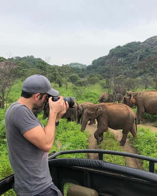 Minneriya National Park Safari See Wild Elephants Up Close - Key Points