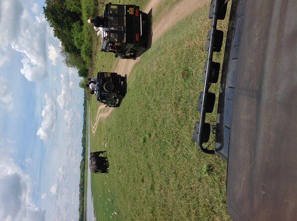 Minneriya National Park Safari Tour From Dambulla or Polonnaruwa - Transportation and Logistics