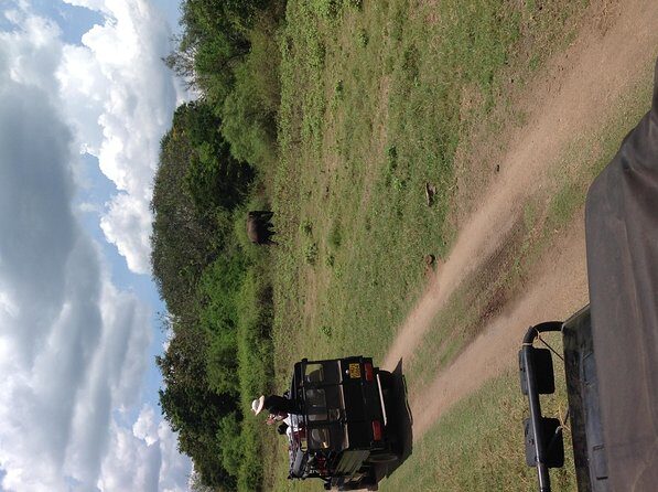 Minneriya National Park Safari Tour From Dambulla or Polonnaruwa - Pricing and Value