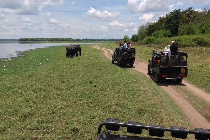 Minneriya National Park Safari Tour From Dambulla or Polonnaruwa - Who Will Love This Tour?
