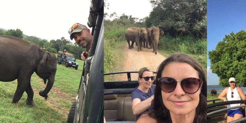 minneriya-wild-safari-and-polonnaruwa-sightseeing-day-tour