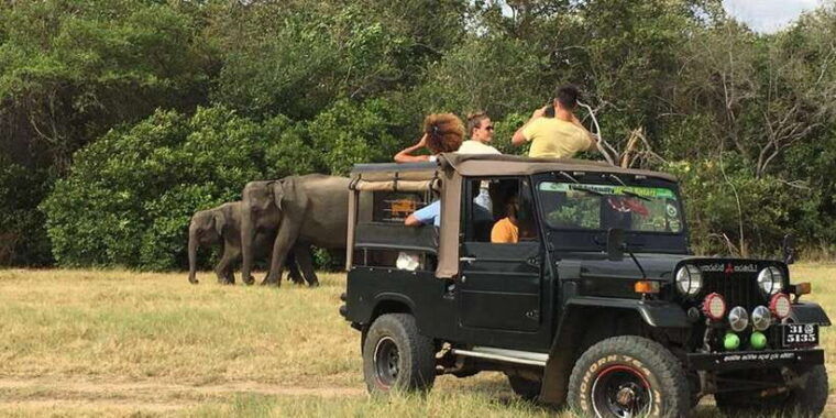 minneriya-wild-safari-and-polonnaruwa-sightseeing-day-tour