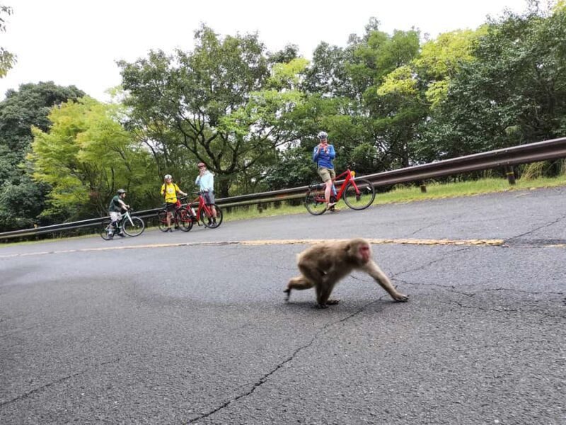 Minoh Falls & Katsuoji Temple Half Day E-Bike Tour - The Highlight: Minoh Falls
