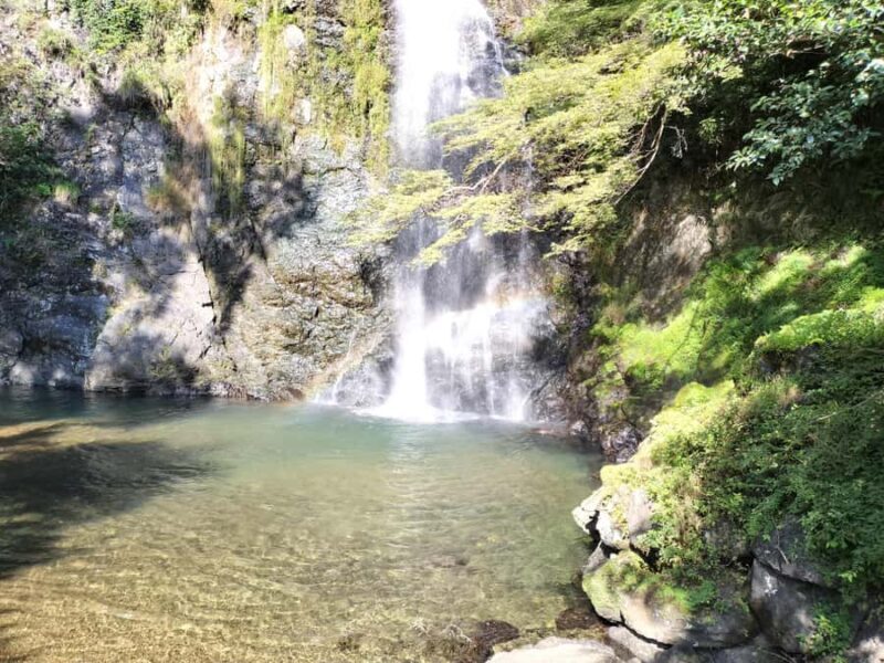 Minoh Falls & Katsuoji Temple Half Day E-Bike Tour - Practical Details and Experience
