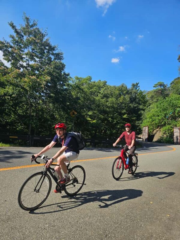 Minoh Falls & Katsuoji Temple Half Day E-Bike Tour - Why This Tour Offers Great Value
