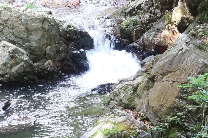 minoh-waterfall-and-nature-walk-through-the-minoh-park