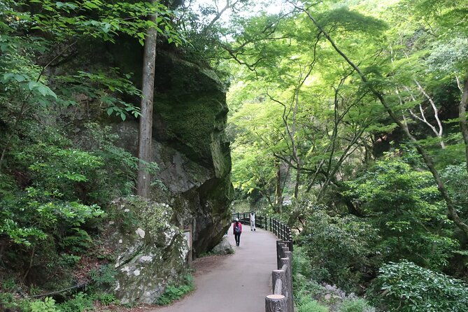 minoh-waterfall-and-nature-walk-through-the-minoh-park