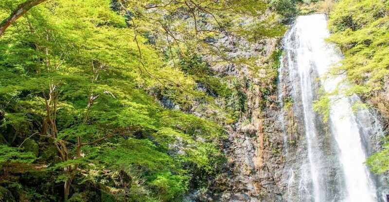 minoo-park-guided-nature-walk