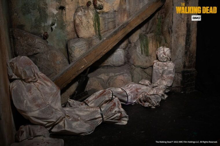 mirabilandia-amusement-park-2-day-entry-ticket