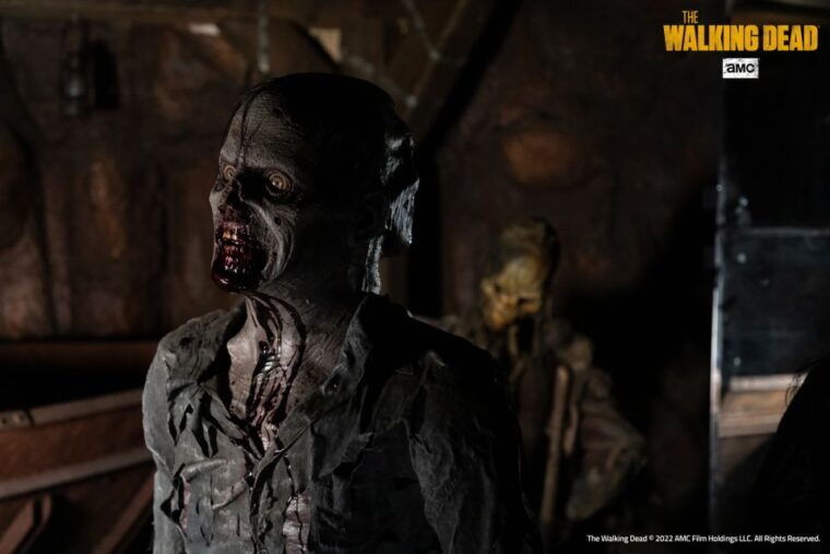 mirabilandia-amusement-park-2-day-entry-ticket