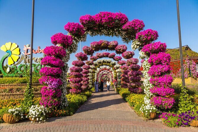 Miracle Garden Dubai - Limitations and Considerations