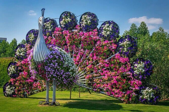 Miracle Garden Dubai Including Pickup & Drop Off - Frequently Asked Questions