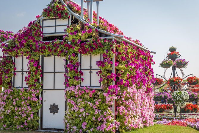 Miracle Garden In Dubai tickets with pickup drop option - A Closer Look at the Miracle Garden Tour Experience
