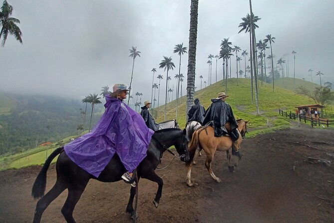 mirador-one-and-river-valley-of-cocora