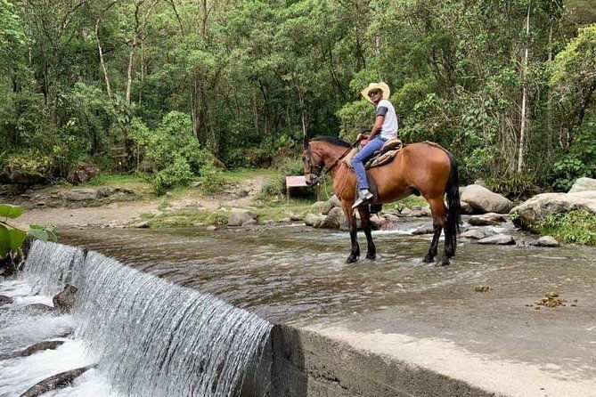 mirador-one-and-river-valley-of-cocora