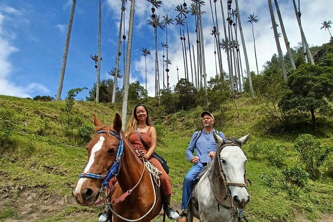 mirador-one-and-river-valley-of-cocora