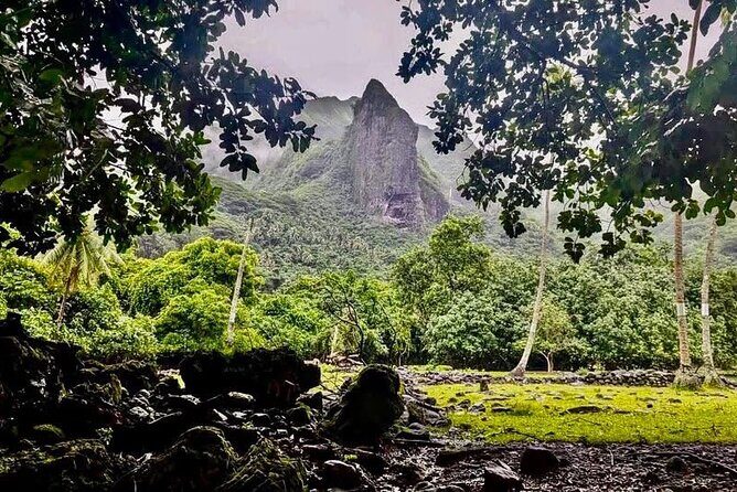 Mirimiri Tours - FAQ