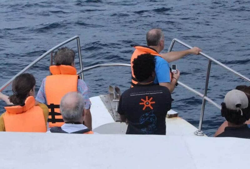 Mirissa: All Inclusive Whale Watching + Jet Ski Ride - Key Points