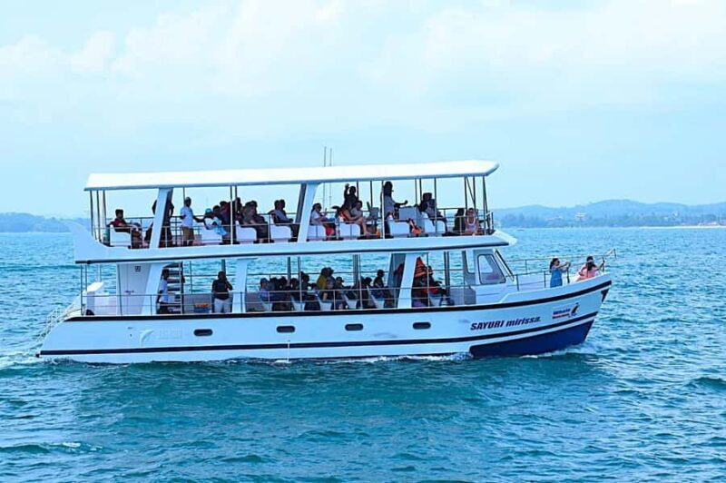 Mirissa: Blue Whale Watching & Turtle Snorkeling Combo Tour - The Sum Up