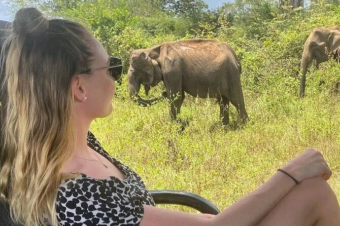 Mirissa , Galle , Bentota to Udawalawe National Park Day Tour - Who Will Love This Tour?