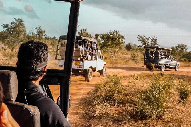 Mirissa , Galle , Bentota to Udawalawe National Park Day Tour - FAQ