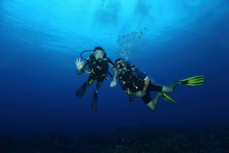 Mirissa : Guided Scuba Diving Experience with Coral - A Closer Look at the Tour