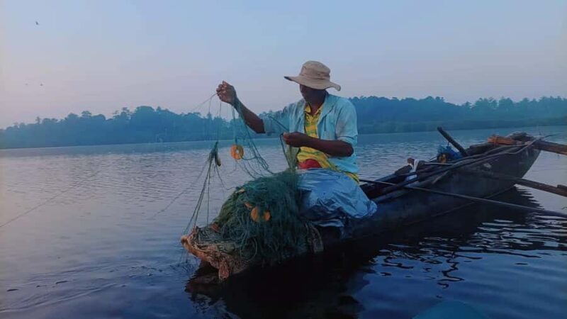 Mirissa: Kayak Safari Adventure Through Mangrove - Who Will Love This Tour?