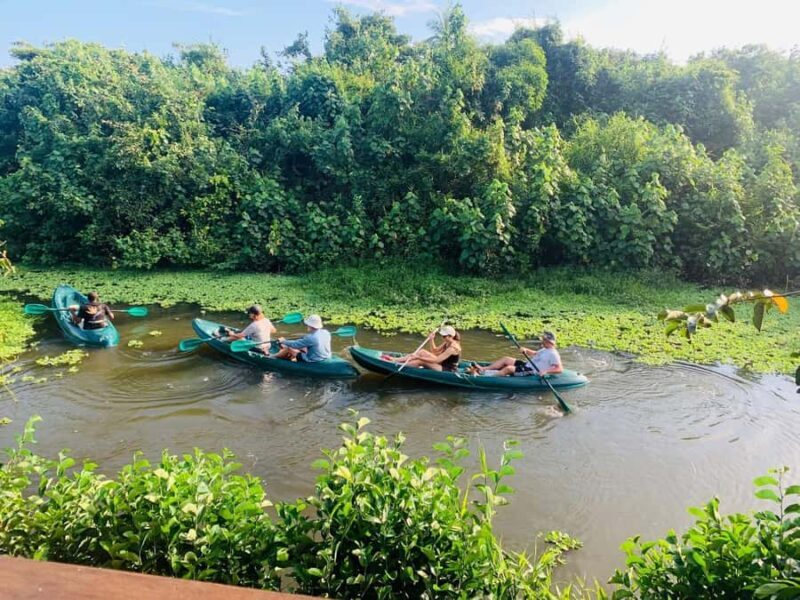 Mirissa: Kayak Safari Adventure Through Mangrove - Exploring the Tour in Detail