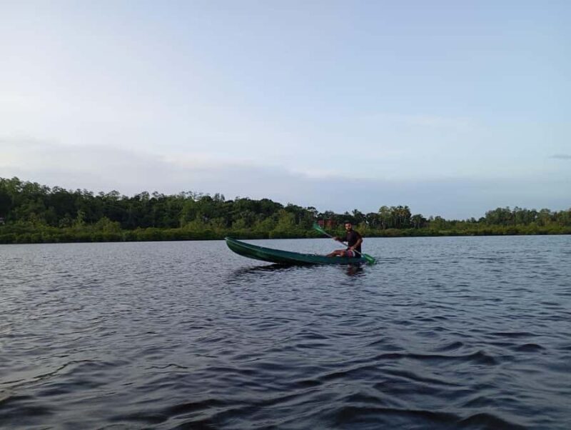 Mirissa: Kayak Safari Adventure Through Mangrove - Price and Value