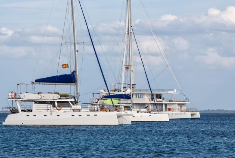 mirissa-luxury-sailing-boat-dolphin-and-whale-watching