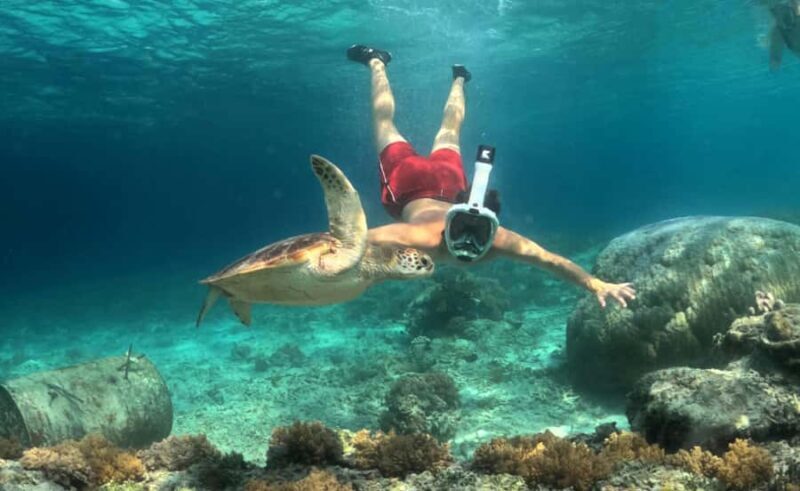 Mirissa: Night Snorkeling with Sea Turtles & Coral Reefs - The Itinerary: Simple and Well-Organized