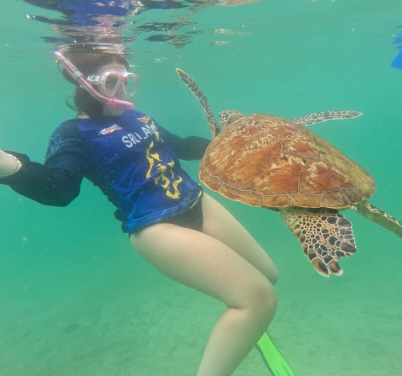 Mirissa: Ocean Magic Snorkeling with Turtles - An In-Depth Look at the Experience