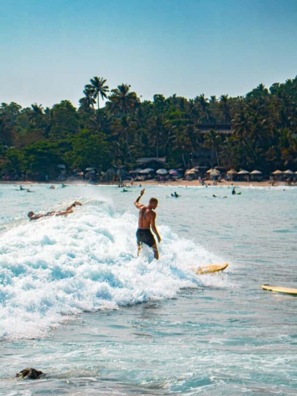 Mirissa or kalpitiya surf camp tour for beginners & experts - Key Points