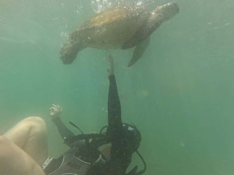 Mirissa: Scuba Diving Experience & Refreshments for Beginner - Final Thoughts