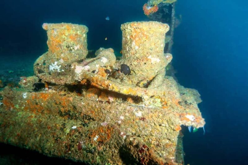 Mirissa: Scuba Diving & Shipwreck Dives for All Levels - What’s Included and Practicalities