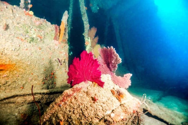 Mirissa: Scuba Diving & Shipwreck Dives for All Levels - FAQ