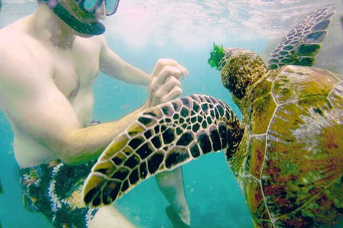 Mirissa Snorkeling Experience with Turtles - How the itinerary unfolds