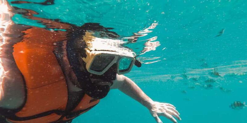 mirissa-snorkeling-experience-with-turtles