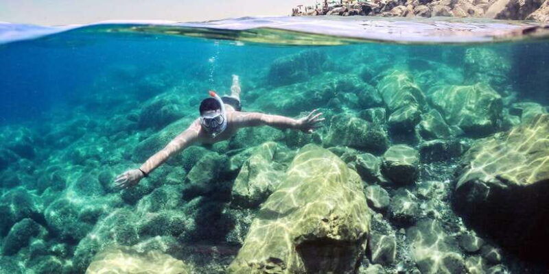 mirissa-snorkeling-experience-with-turtles