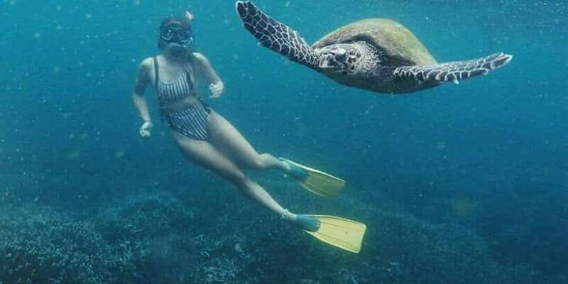 mirissa-snorkeling-experience-with-turtles