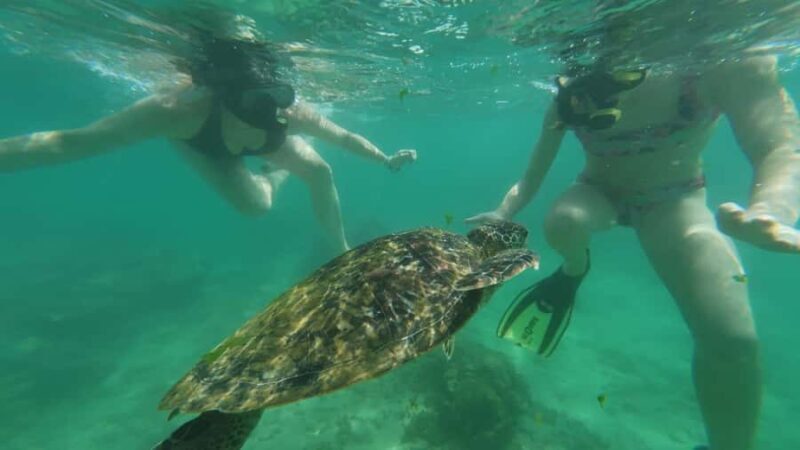 Mirissa Snorkeling Trip with Sea Turtles & Coral Reef - Final Thoughts: Is It Worth It?