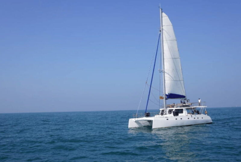mirissa-sunset-catamaran-sailing-boat-tour-with-dinner