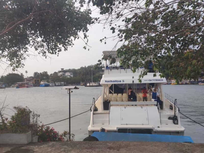 Mirissa: Sunset Whale Watching Boat Tour with Music - FAQ