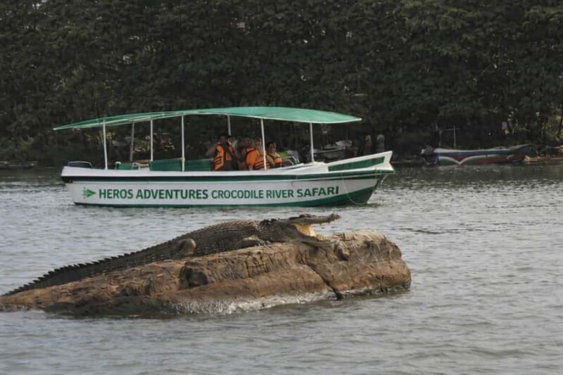 Mirissa to Matara Crocodile Watching Nilwala Boat Tours - Who Will Love This Tour?