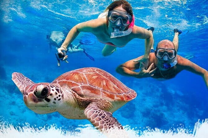 Mirissa Unforgettable Snorkeling Experience with Turtles - Key Points